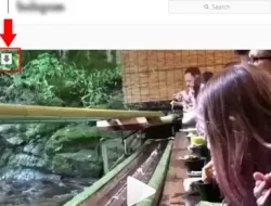 Cara Download Video dari Instagram