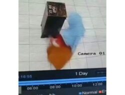 VIRAL, Emak-Emak Curi Kotak Amal di Masjid Terekam Kamera CCTV