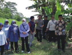 Dinas Pertanian dan Ketahanan Pangan Menerima KunKer Komisi II DPRD Pangandaran