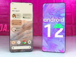 Ketahui Kelebihan Android 12