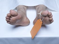 Seorang Pria Ditemukan Tewas Tergantung di Kebun, Dikira Boneka