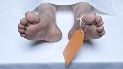 Seorang Pria Ditemukan Tewas Tergantung di Kebun, Dikira Boneka