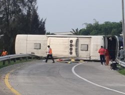 Tragis Bus PO Handoyo Terbalik di Tol Cipali, Menewaskan 12 Penumpang, Ini Kronologisnya