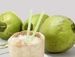 5 Manfaat Air Kelapa bagi Kesehatan Tubuh, Salah Satunya Menurunkan Tekanan Darah