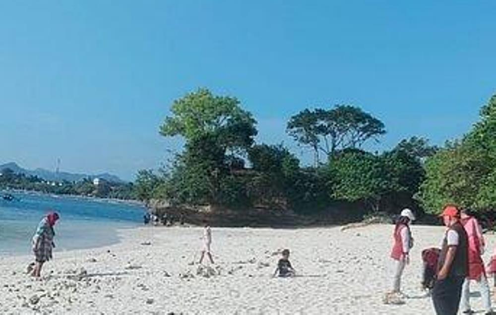 Pantai Pasir Putih Pangandaran, Ketua DPRD Asep Noordin: Keindahan Alam dan Tantangan Konservasi