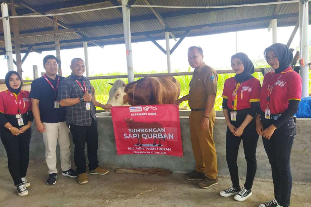 Hari Raya idul Adha 1445 H, Alfamart Berikan 1 ekor Sapi Kurban untuk Masyarakat Pangandaran