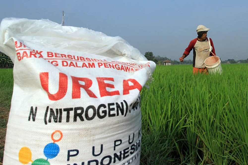 Anggota DPRD Tanggapi Soal Permasalah Pupuk di Pangandaran