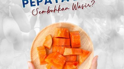 Benarkah Pepaya Bisa Mengatasi Wasir? Ini Penjelasan Dokter Spesialis Bedah RSUD Pandega Pangandaran, dr. Dasrizal, Sp.B