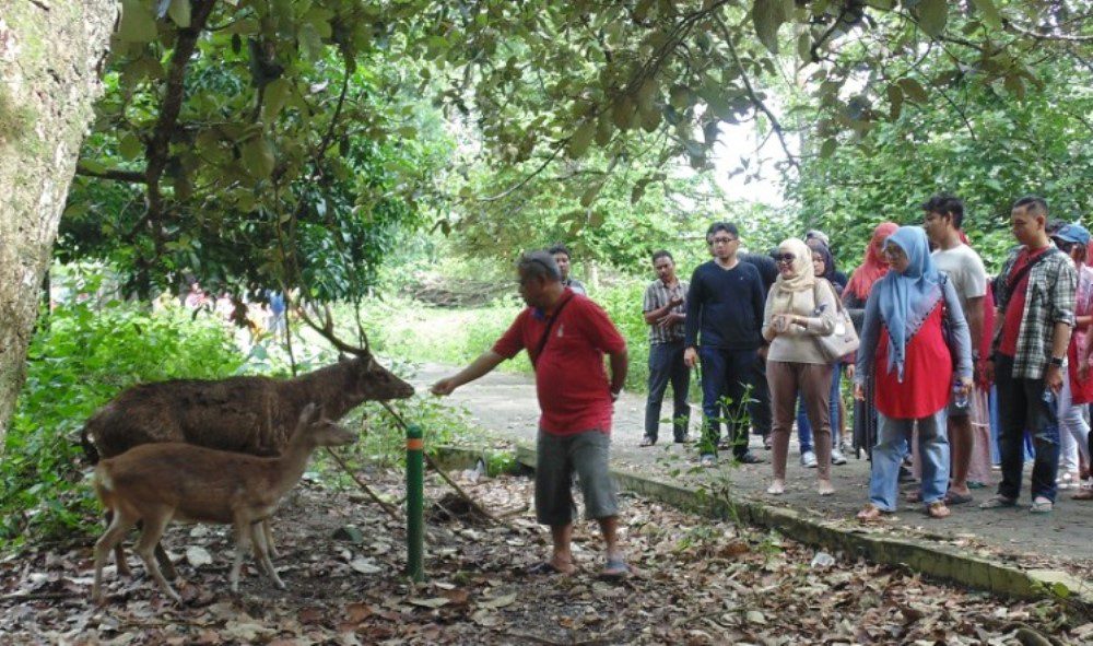 Taman Wisata Alam Cagar Alam Pangandaran: Kawasan Konservasi yang Mempesona