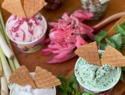 Madys Gelato Caffe Hadirkan Sensasi Baru di Rooftop Horison Palma Pangandaran!