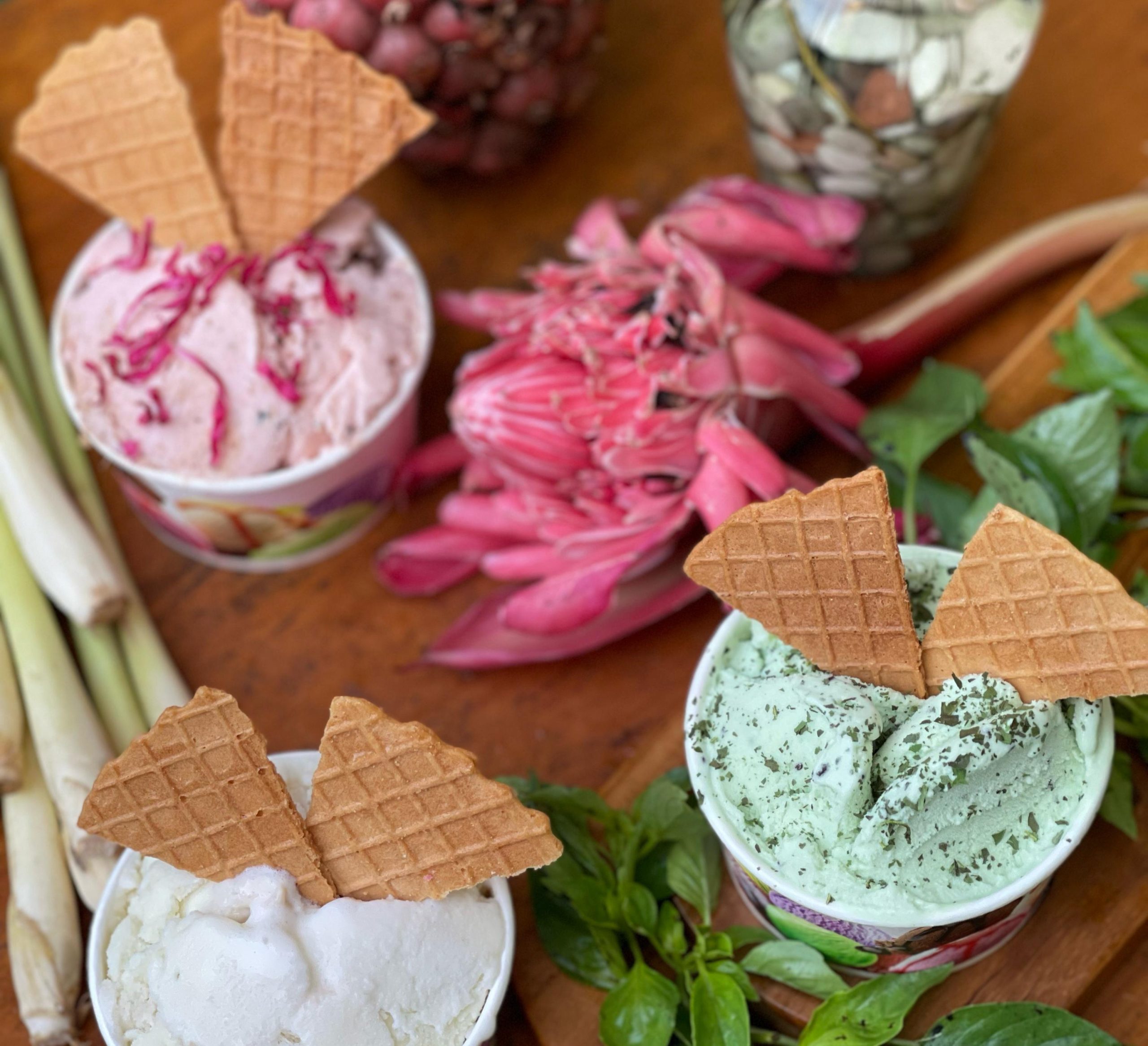 Madys Gelato Caffe Hadirkan Sensasi Baru di Rooftop Horison Palma Pangandaran!