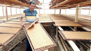 DPRD Pangandaran Dukung Sentra Industri Tembakau