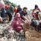 Bupati Citra Pitriyami Turun Langsung dalam Aksi Bersih-Bersih Pantai Timur Pangandaran