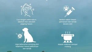 Hewan Peliharaan Bisa Jadi Sumber Penyakit, Ini Imbauan RSUD Pandega Pangandaran