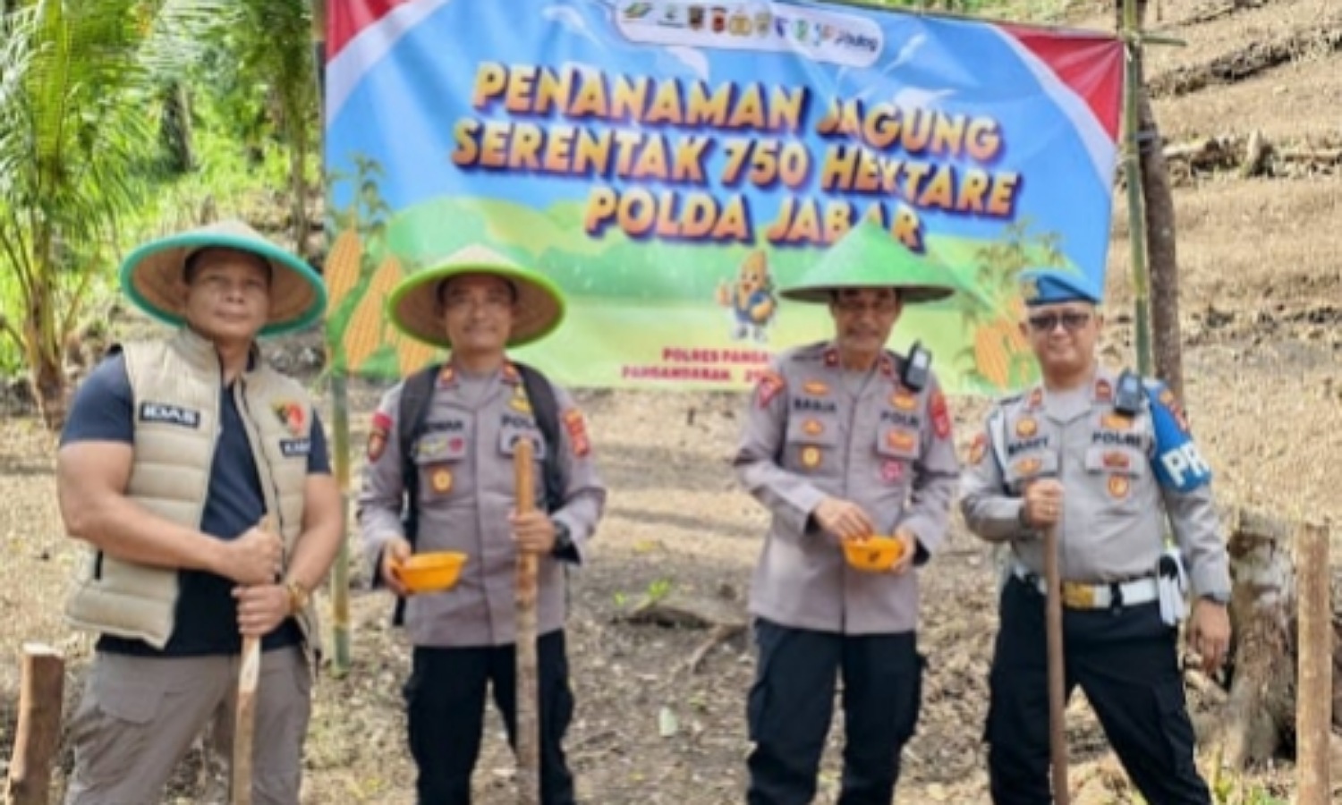 Dukung Ketahanan Pangan Nasional, Polres Pangandaran Tanam Jagung di Lahan 11 Hektare