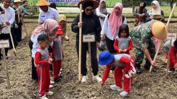 Bupati Citra Launching Penanaman 143 Ribu Bibit Jagung di Sekolah Secara Serentak