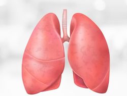 RSUD Pandega Pangandaran Perkuat Deteksi Dini dan Edukasi Publik, Putus Rantai Penularan Tuberkulosis